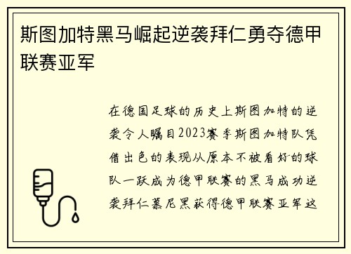 斯图加特黑马崛起逆袭拜仁勇夺德甲联赛亚军